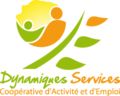 Logo DYNAMIQUES SERVICES CAE
