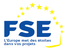 Logo FSE